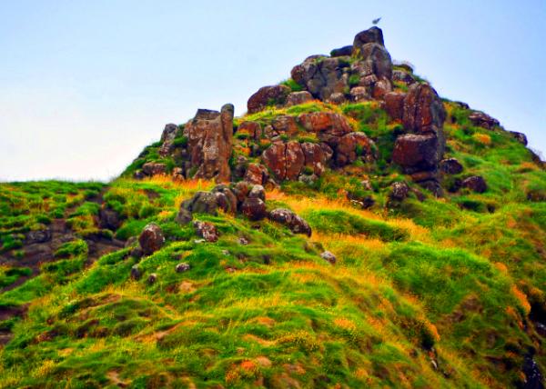 2016-07-11_Giant's Causeway_Weir's Snout �߱�-30001.JPG