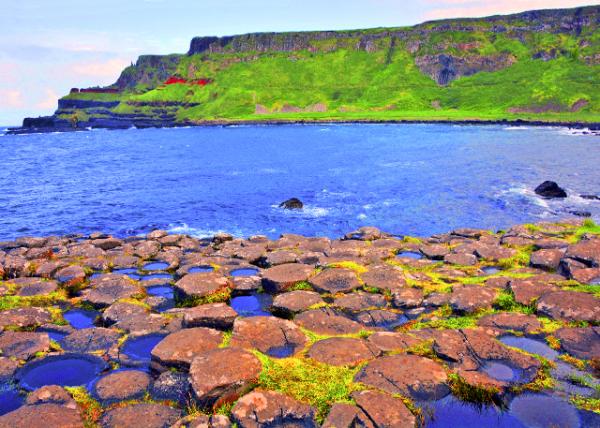 2016-07-11_Giant's Causeway_Honeycomb-30001.jpg