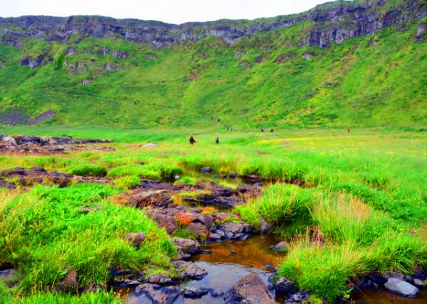 2016-07-11_Giant's Causeway_Weathered Rock Formations w Sea Spleenwort, Hare's-foot Trefoil, Vernal Squill, Sea Fescue and Frog Orchid �绯�Ҳ㳤���˺�����Ҷ����ޱ��é��������-150001.JPG