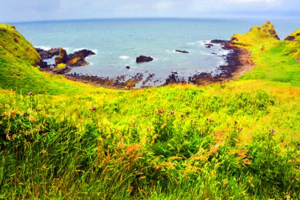 2016-07-11_Giant's Causeway_Portnaboe Bay ţ����-50001.JPG