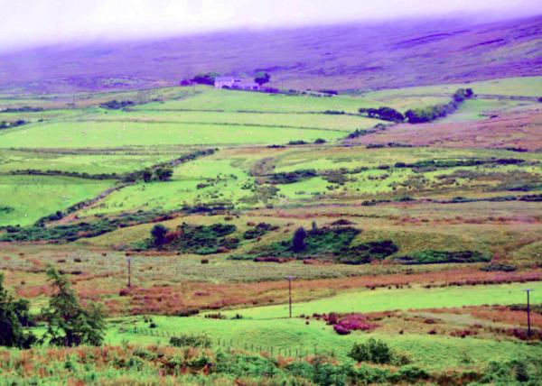 2016-07-11_Glenariff_Lavish Meadow ���˹ȡ�����ݵء�-20001.JPG