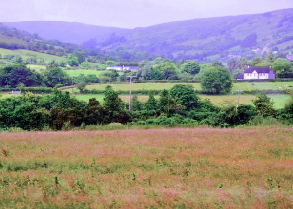 2016-07-11_Glendun_Peat Bogs �غӹȡ���̶����-10001.JPG