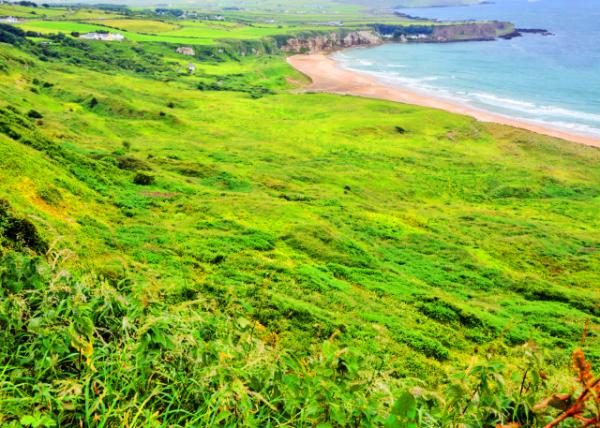 2016-07-11_Ballycastle_White Park Bay �׹�԰��-80001.JPG