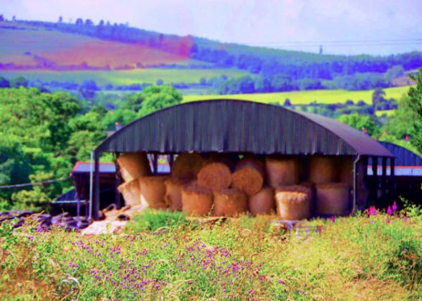 2016-07-10_Wicklow_Village ���-20001.JPG