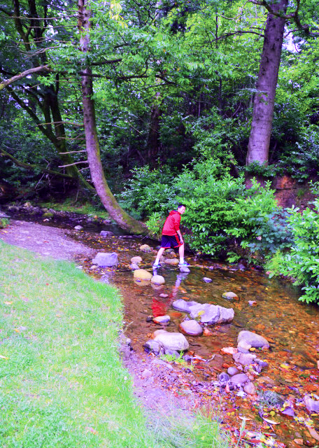 2016-07-10_Avoca River w Copper-Colored Stones ���ֿ��ӡ�ͭɫʯͷ-20001.JPG