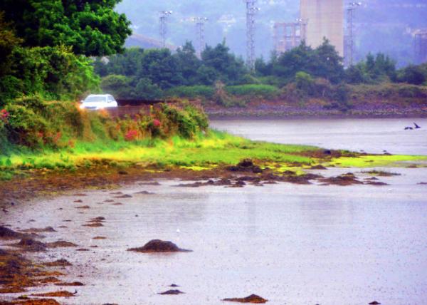 2016-07-09_Cobh_Marino Point Industrial Complex ����ŵ�ǹ�ҵ��-10001.JPG