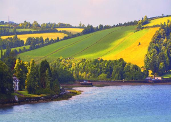 2016-07-09_Cobh_Manor ׯ԰-70001.JPG