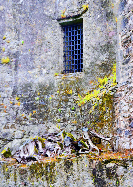 1774883809331158.jpg 2016-07-09_Blarney Castle_Window-10001.JPG