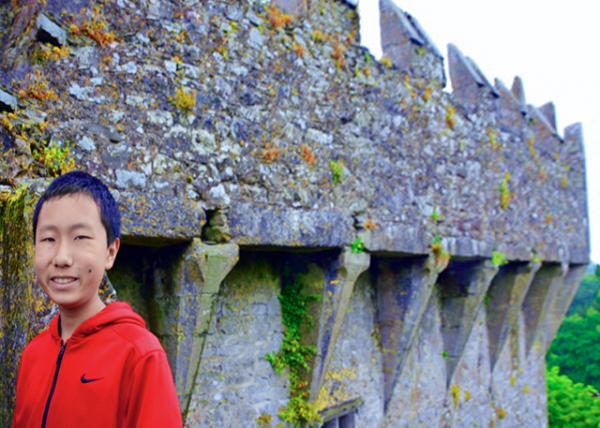 2016-07-09_Blarney Castle_Wall0001.JPG