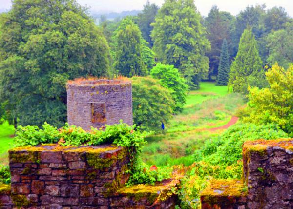 2016-07-09_Blarney Castle_Lookout Tower-10001.JPG