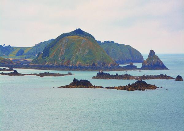 2016-07-08_Channel Islands ��ϿȺ��-30001.JPG