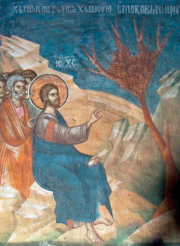 0000 无花果 isproklaetsmoko.jpg