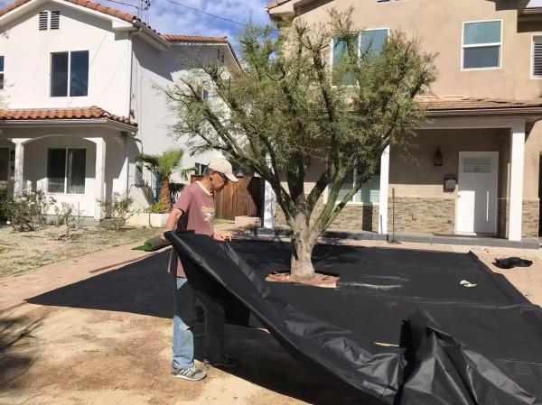 1774910002299146.jpg Weixin Image_20250408162732.jpg