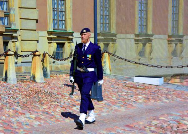 2016-07-04_Royal Palace_Guard 门卫-10001.JPG