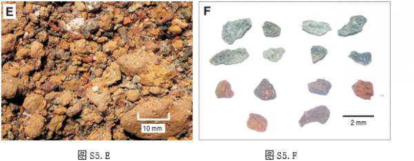 ͼS5.E - ͼS5.F - 2.png