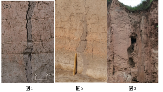 ͼ1��ͼ2��ͼ3 - 2.png