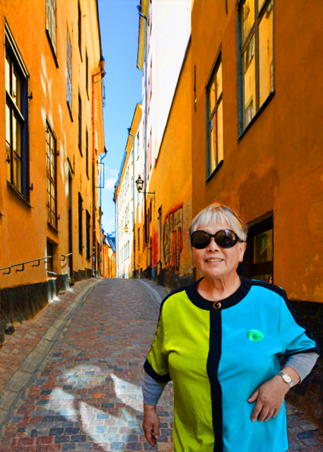 2016-07-04_Sun Rarely Reaches Solgränd-20001.JPG