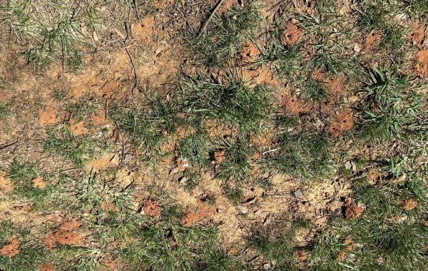 IMG_1782 (自定义) (自定义).JPG