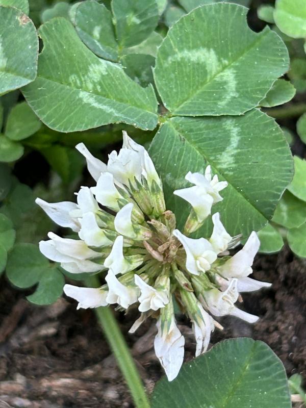 001 IMG_1588 (自定义).JPG