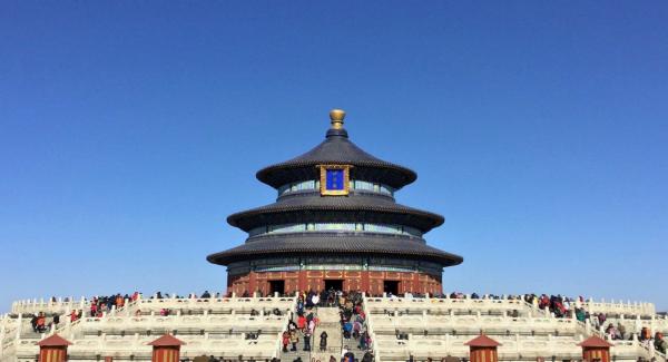 1775093476525253.jpeg IMG_0503.jpeg