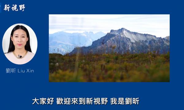 1775241837911488.png IMG_9802.png