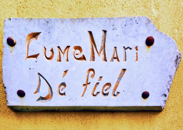 2016-06-30_Lume Mari De Fiel ·��0001.JPG