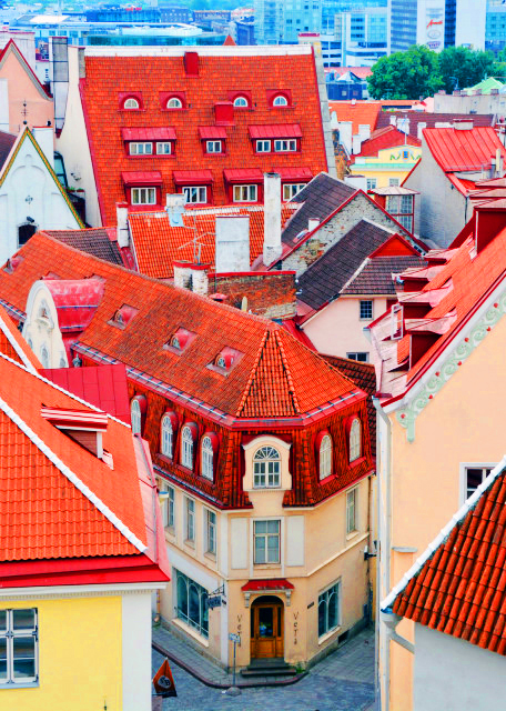 1775409695674727.jpg 2016-06-30_A Jumble of Rooftops 瓦片迭盖-20001.JPG