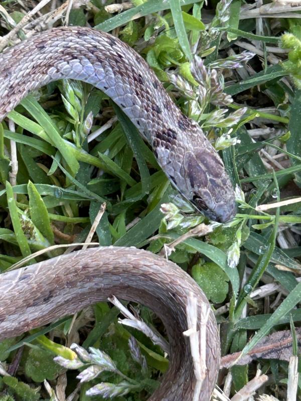 001 IMG_2703 (�Զ���).JPG