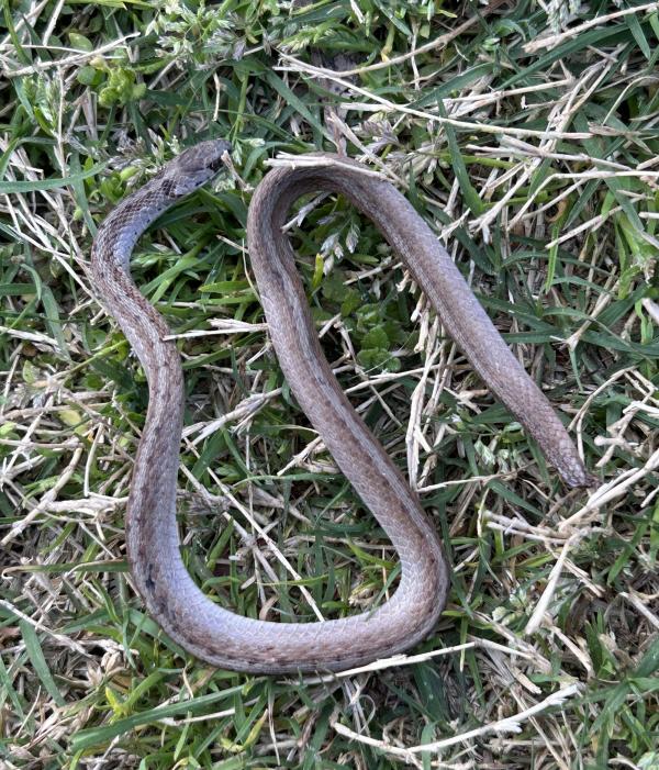 002 IMG_2699 (�Զ���).JPG