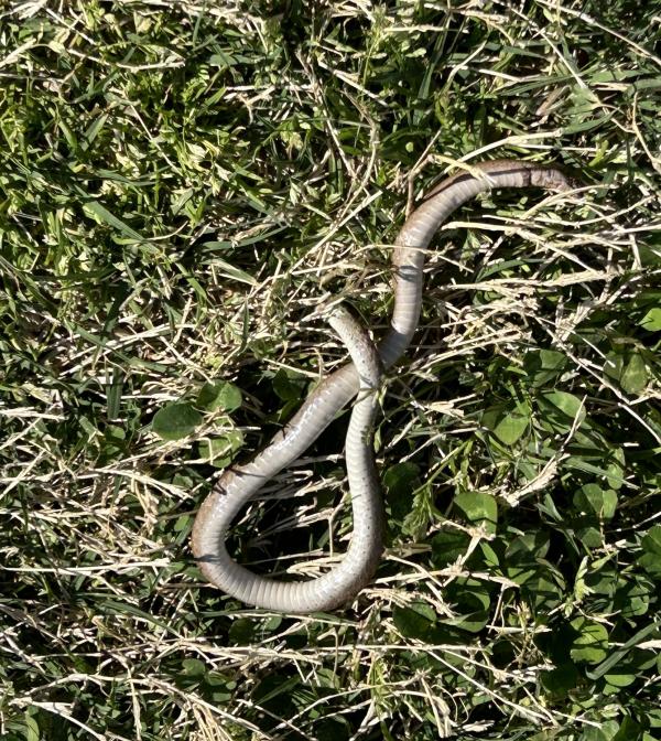 003 mmexport1774579142581 (�Զ���).jpg