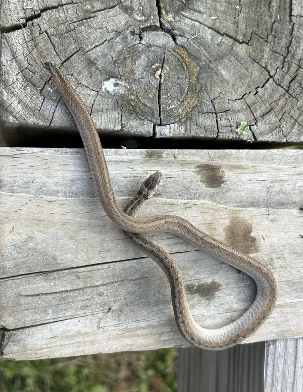 004 IMG_2704 (�Զ���).JPG