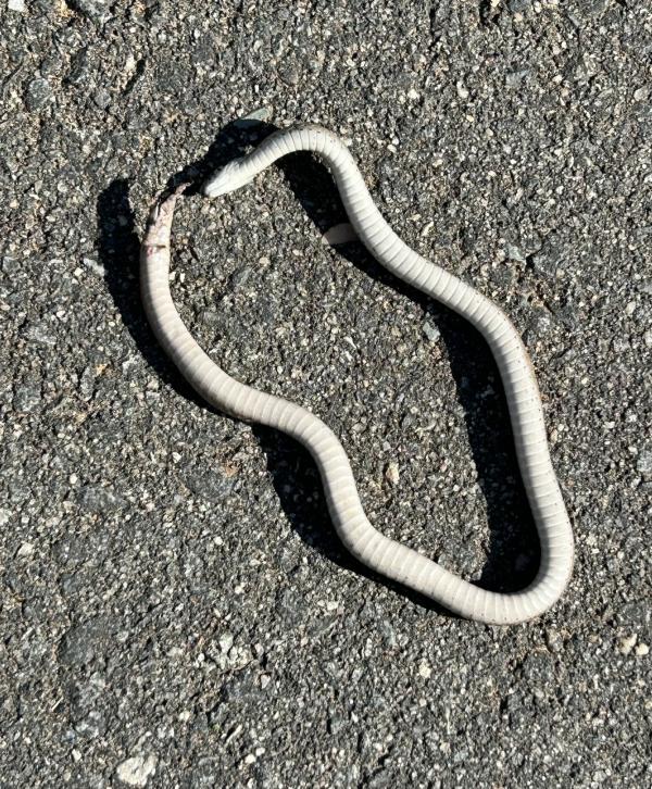 006 mmexport1774579132945 (�Զ���).jpg