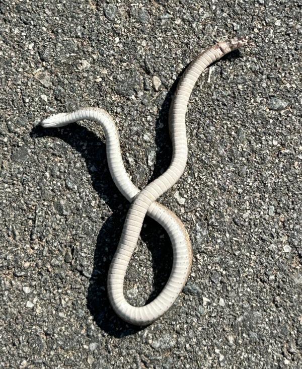 005 mmexport1774579122650 (�Զ���).jpg