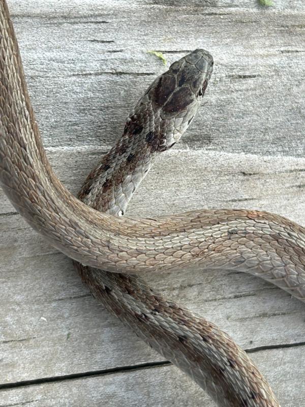 007 mmexport1774579165757 (�Զ���).jpg