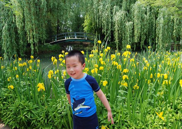 2007-05-26_Monet's Bridge0001.JPG