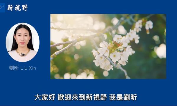 1775946030620062.png IMG_1655.png