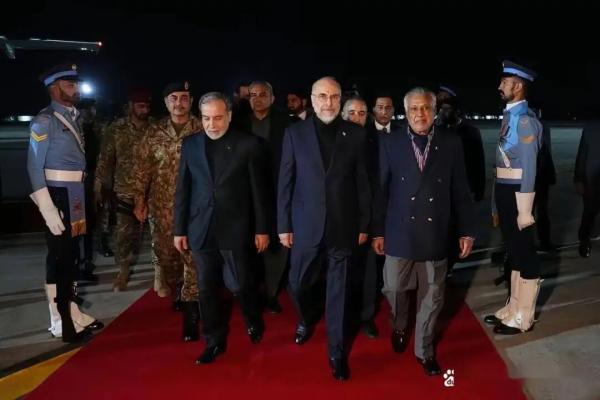 1775974758203684.jpeg IMG_7163.jpeg