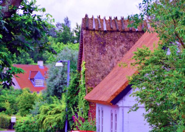 2016-07-06_Thatched Roof é���ݶ�-30001.JPG