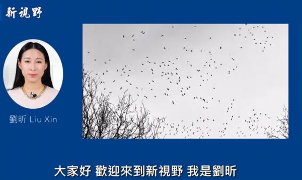 1776031203523145.png IMG_1895.png