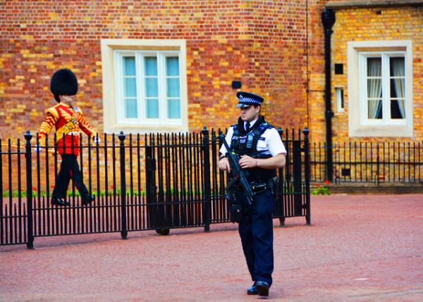 2016-06-24_Sentry of the Grenadier Guards Posted outside St James' Palace�����������ڱ��ں����߹���ֵ��0001.jpg