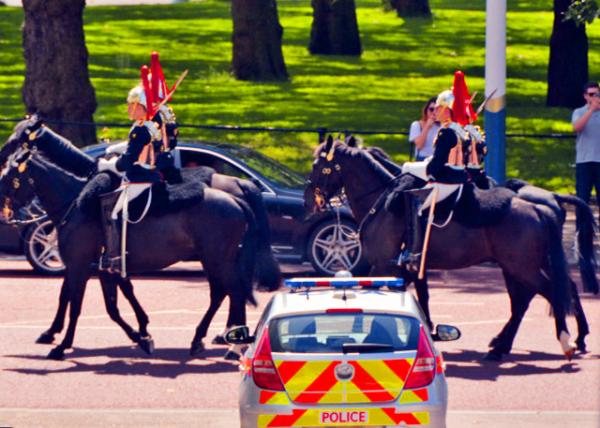 2016-06-24_Household Cavalry �ʼ��������0001.JPG