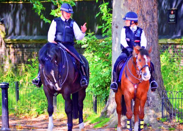 2016-06-24_Police Patrol ����Ѳ��-10001.JPG