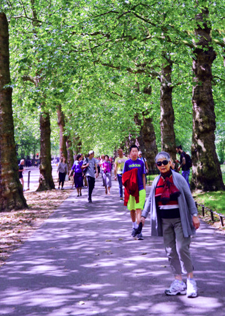 2016-06-24_St James's Park ʥղķ˹��԰0001.JPG