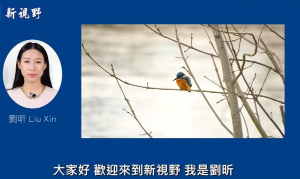 1776191215627091.png IMG_2284.png