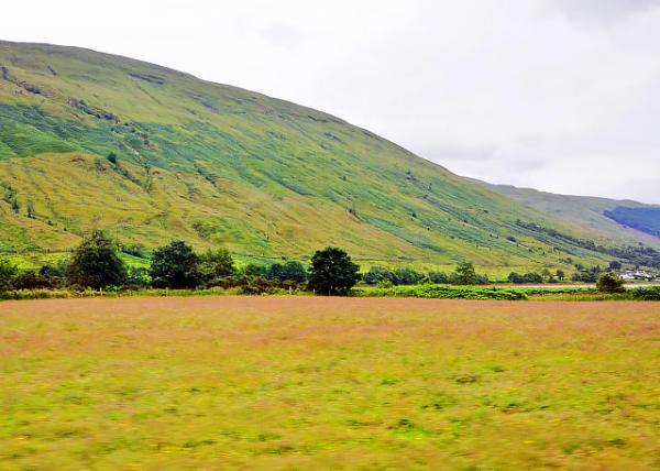 2016-07-12_Scottish Highlands_Meadow �ݵ�-30001.JPG