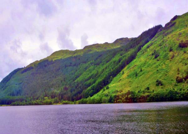 2016-07-12_Loch Eck_Steep Wooded Slopes into Loch Eck ����ֱ�밣�˺�-30001.JPG