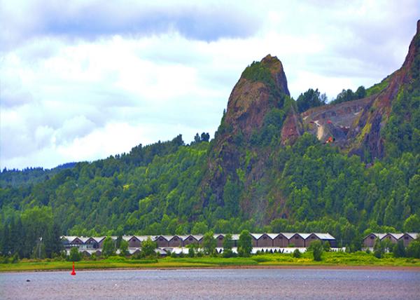 2016-07-12_Dumbarton Wooden Houses ľ��0001.JPG