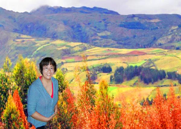 03-30-13_ Cayambe_Patchwork-Covered Andes-30001.jpg