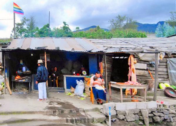 03-30-13_ Giant Pig-20001.JPG