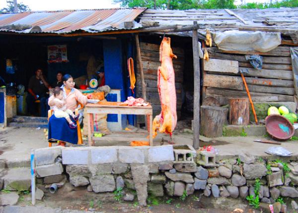 03-30-13_ Giant Pig_Menu in Display ʳ��-10001.JPG